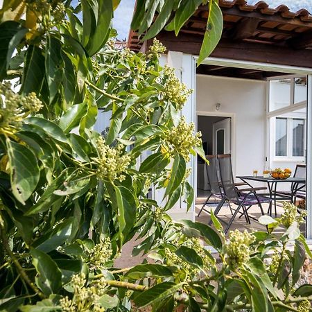 Avocado Apartment Dubrovnik Ngoại thất bức ảnh