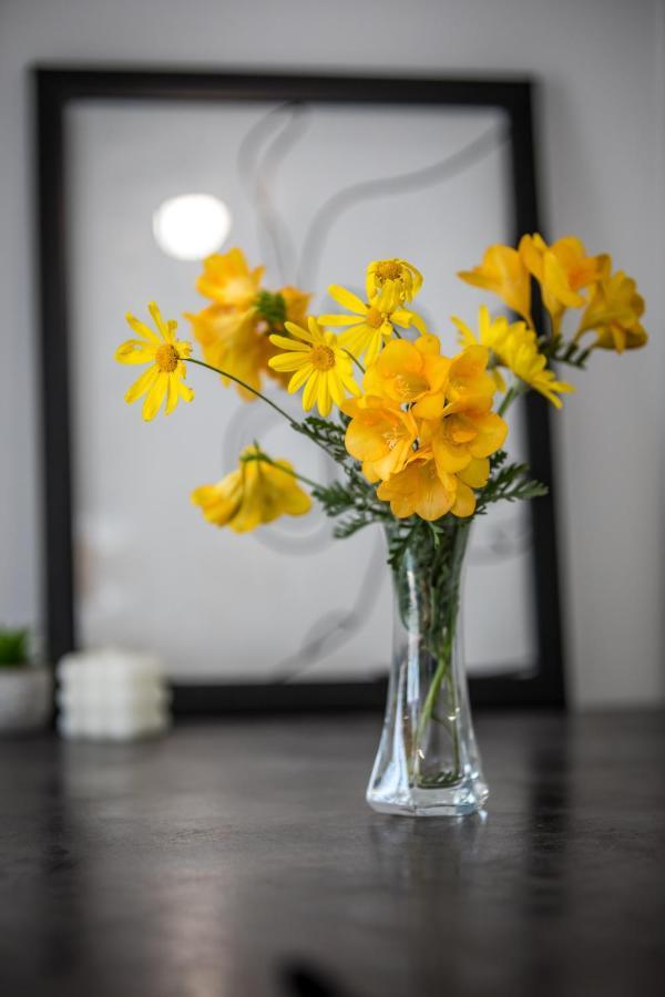 Avocado Apartment Dubrovnik Ngoại thất bức ảnh